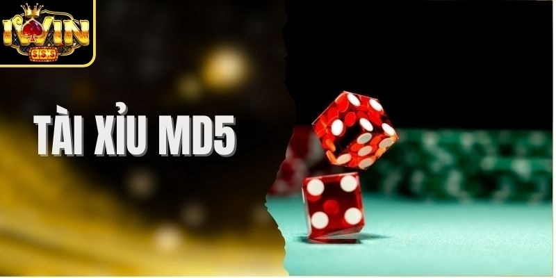 Giới thiệu chung về game tài xỉu MD5 Iwin
